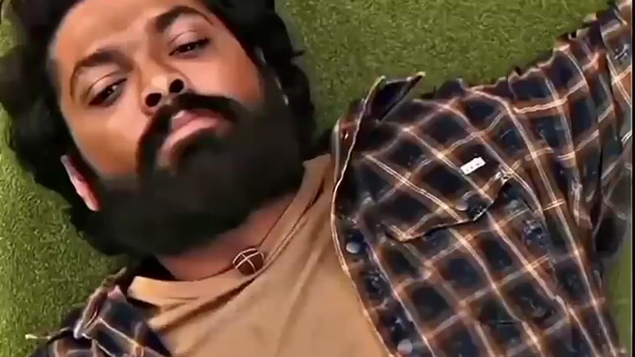 Feeling understanding by dog