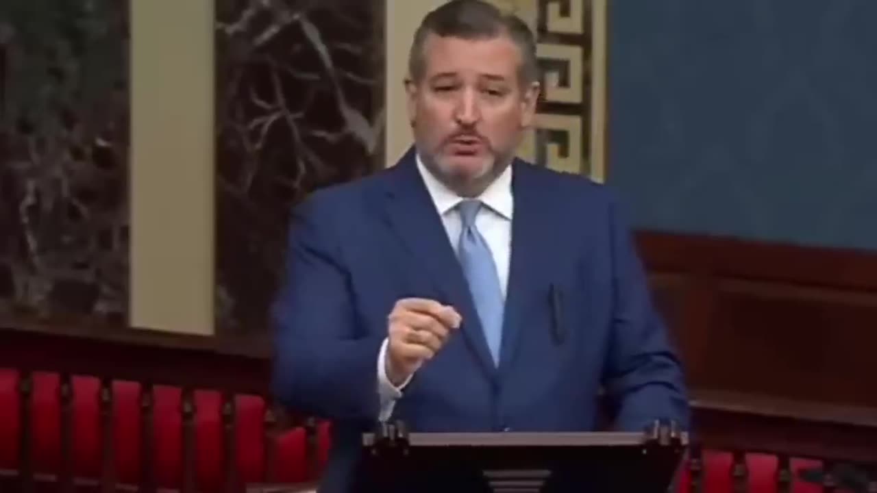 Ted Cruz DEMOLISHES The Border Situation + BLM