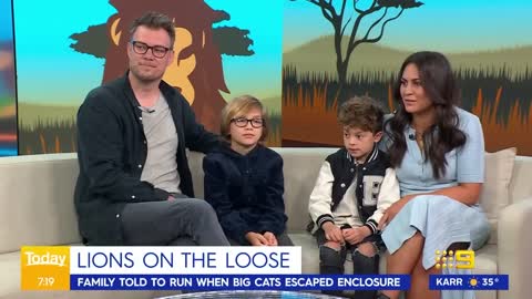 Hilarious interview with Taronga Zoo guests after lion escape 😂💀 | Today Show Australia