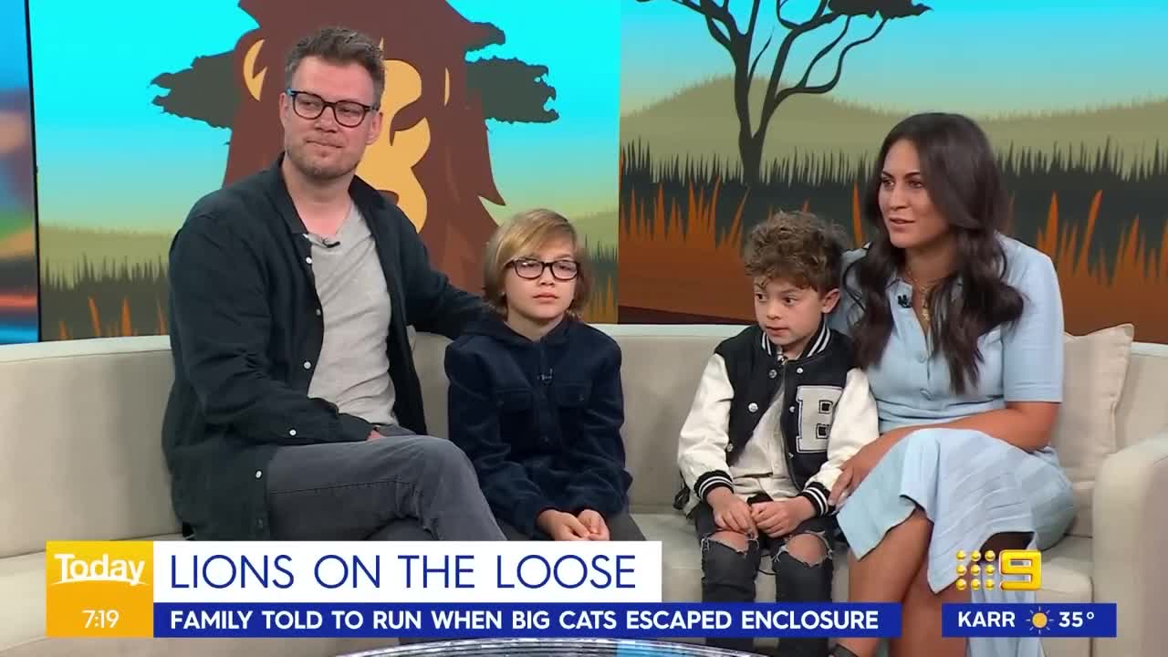 Hilarious interview with Taronga Zoo guests after lion escape 😂💀 | Today Show Australia