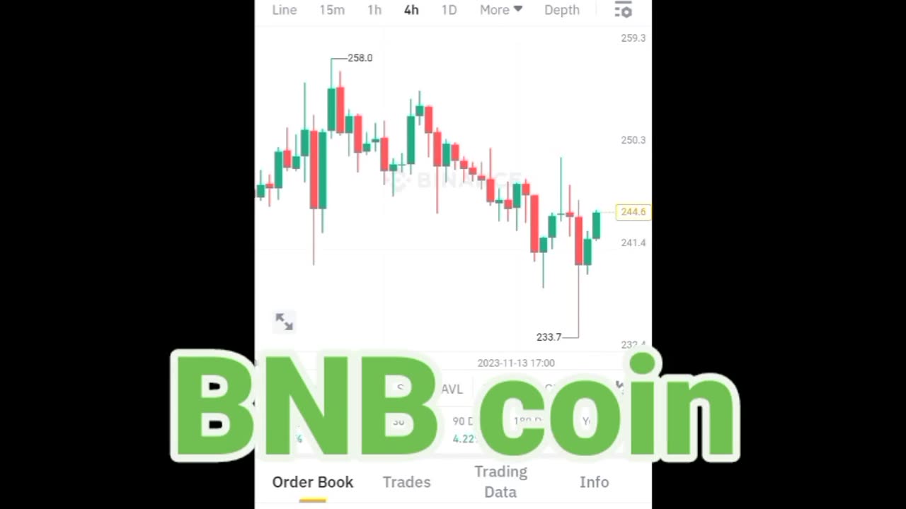 BTC coin Etherum coin Cryptocurrency Crypto loan cryptoupdates song trading insurance Rubbani bnb coin short video reel #bnbcoin