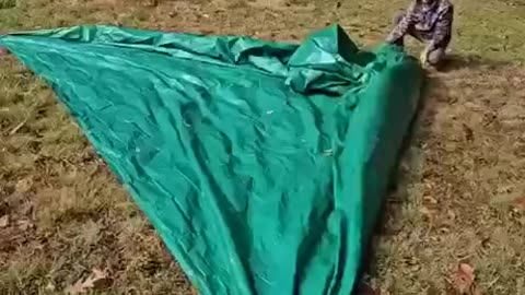 Quick survival shelter