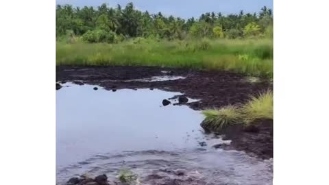 Descobri uma maneira de viajar reduzindo até 70%