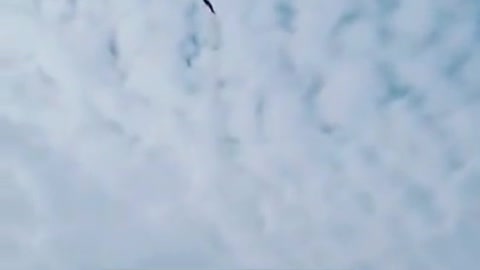 O PRIMEIRO HOMEM QUE VUOU