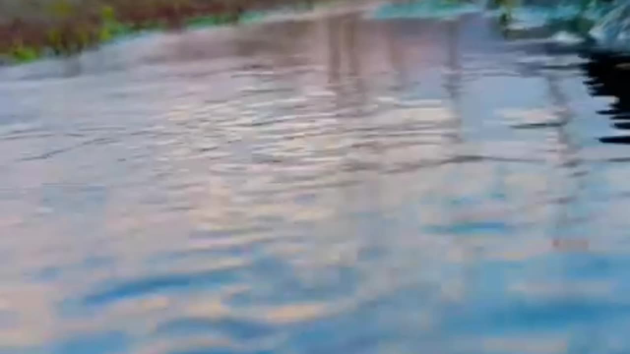 iPhone 13pro max under water video #short reels # #shortvideo #water #beauty