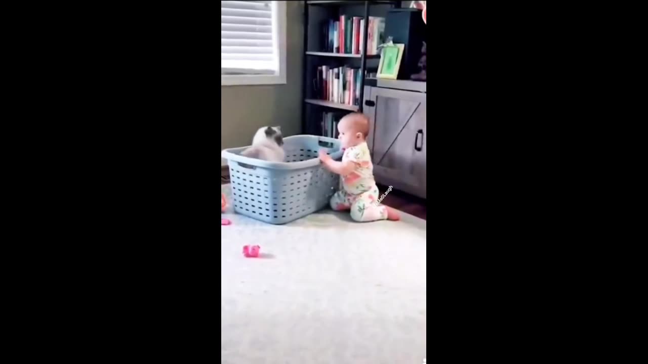 You Laugh 😂 You Lose 😣 | Funny Animals Video | #22