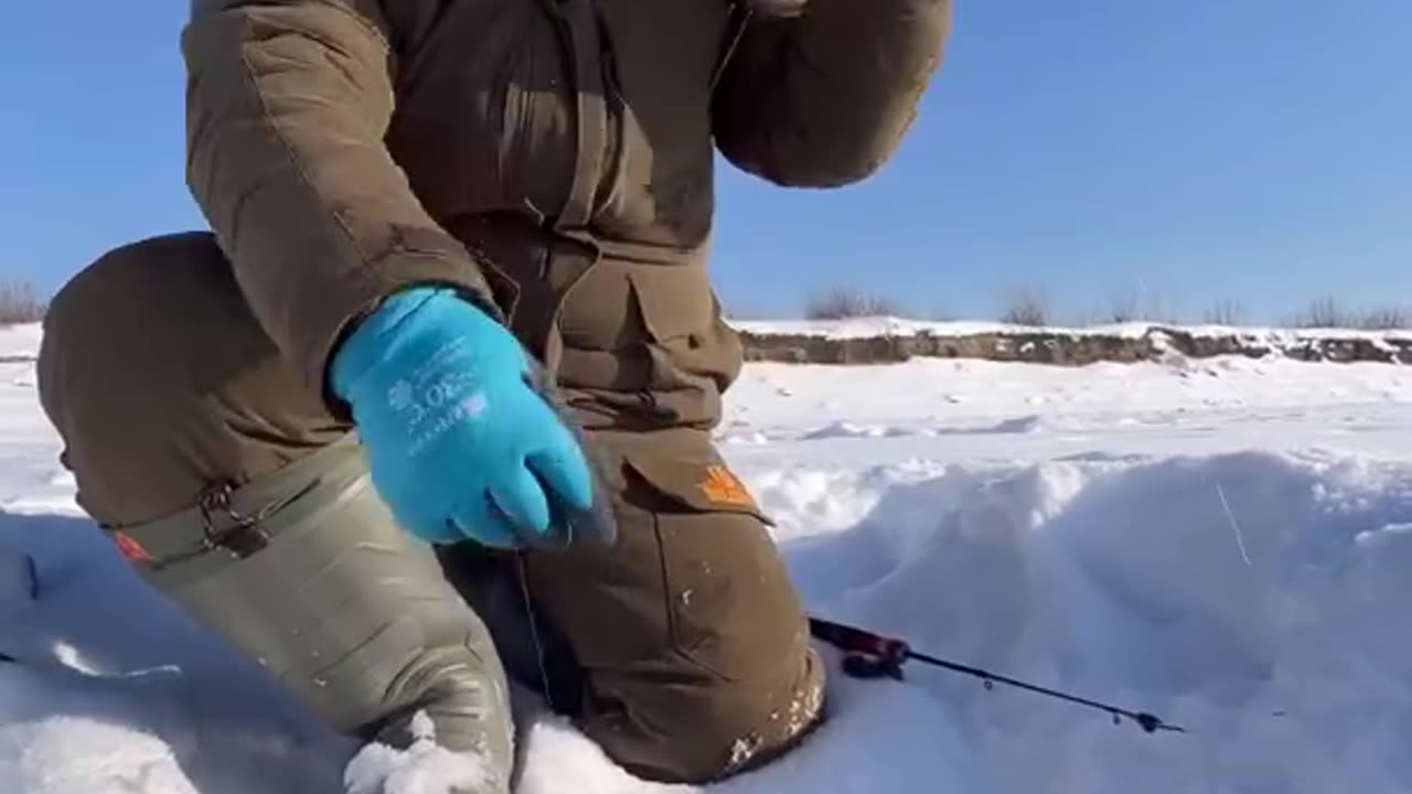 Amazing videos