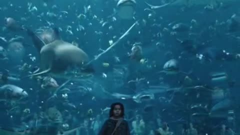 Aqua man full hd just in 1 click