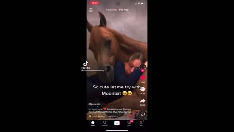 Horse TikToks That Went Viral! #5