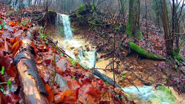 calming music video with beautiful, natural settings