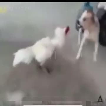 Believe me, you can't