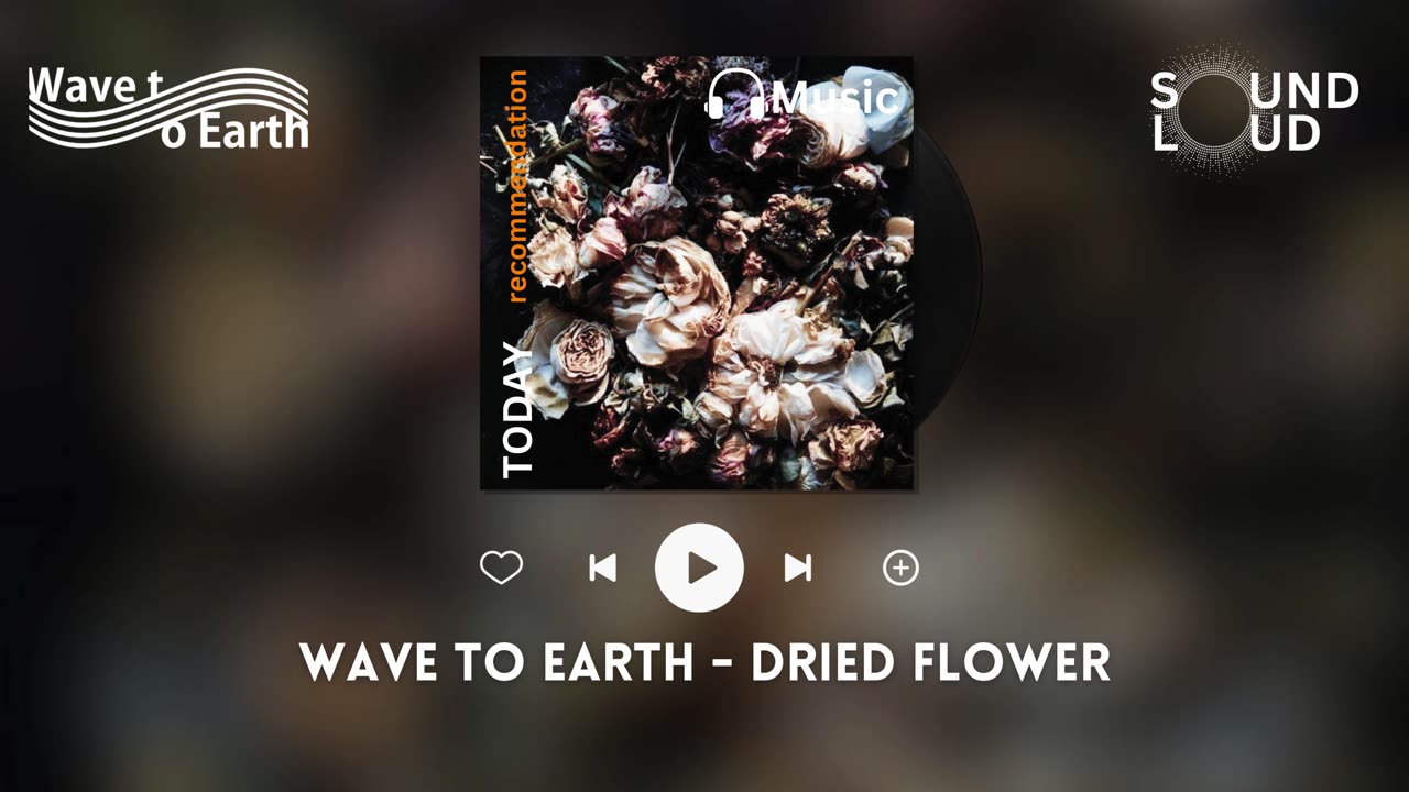 Wave to Earth - Dried Flower