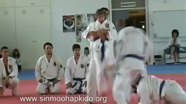 Hapkido