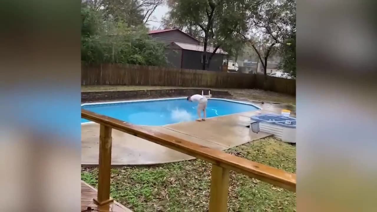 funnyvideossandmore - Try not to laugh compilation;/