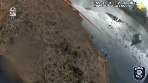 Police Bodycam Video Shows Illinois Officers Rescuing Boy, Woman From Frozen Pond