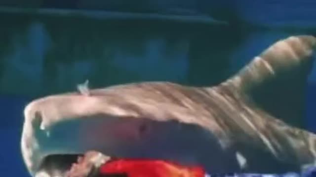 What would you do if you were him 🧐😱