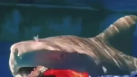 What would you do if you were him 🧐😱