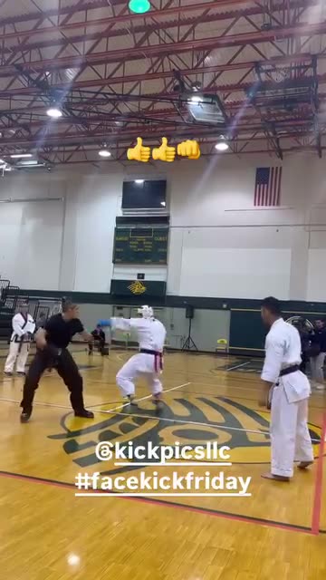 Nice Head Kick