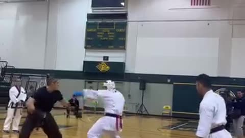 Nice Head Kick