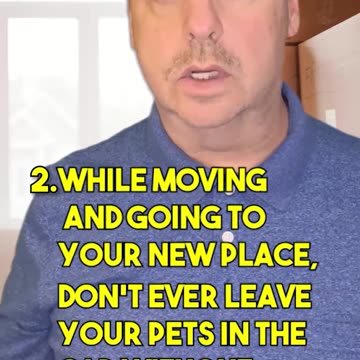 Pet-Friendly Moving Tips for a Smooth Transition