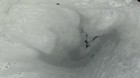 River Foam