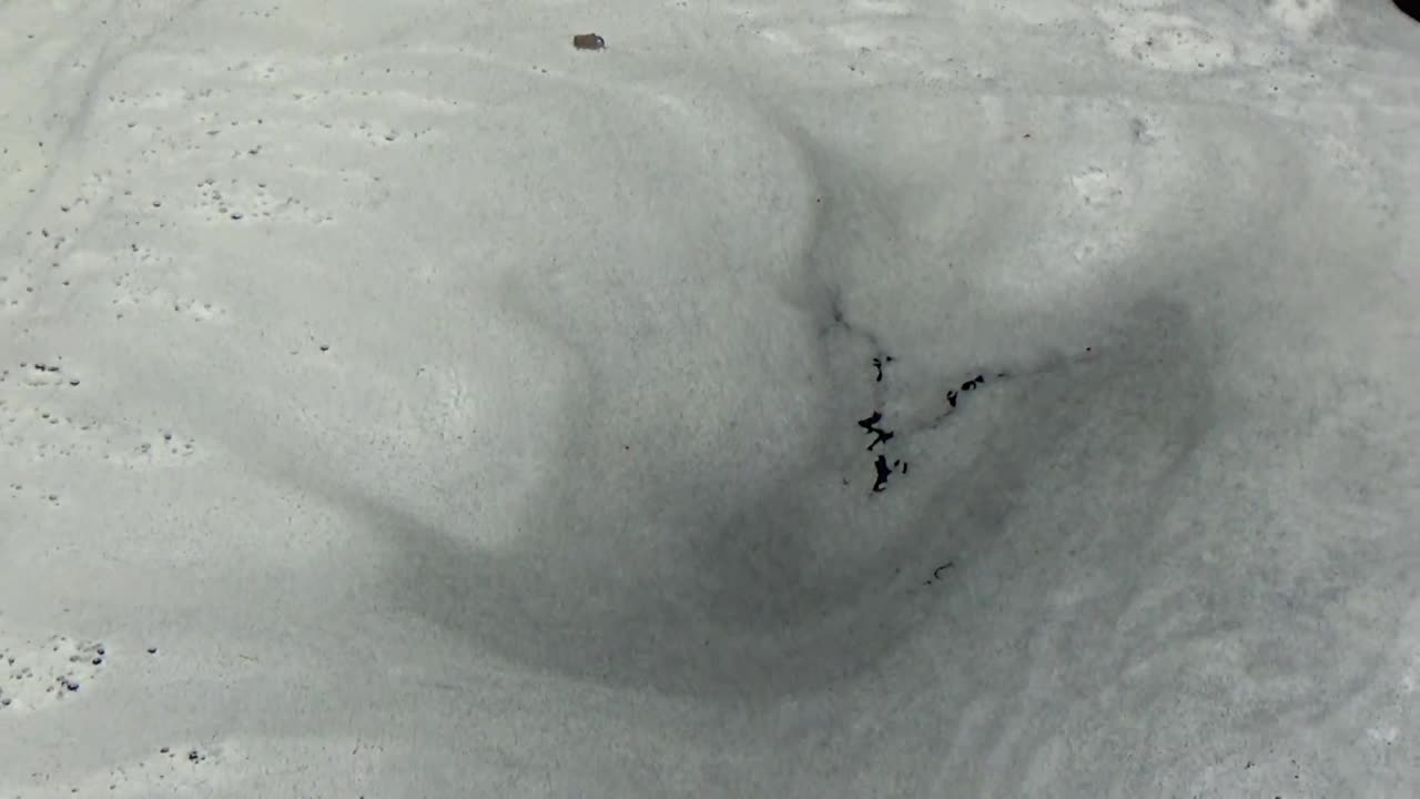River Foam