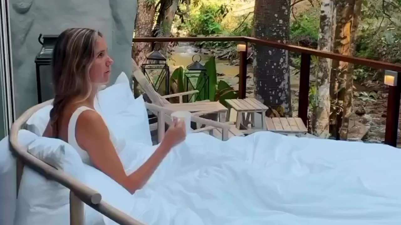 Dreamy morning inside nature