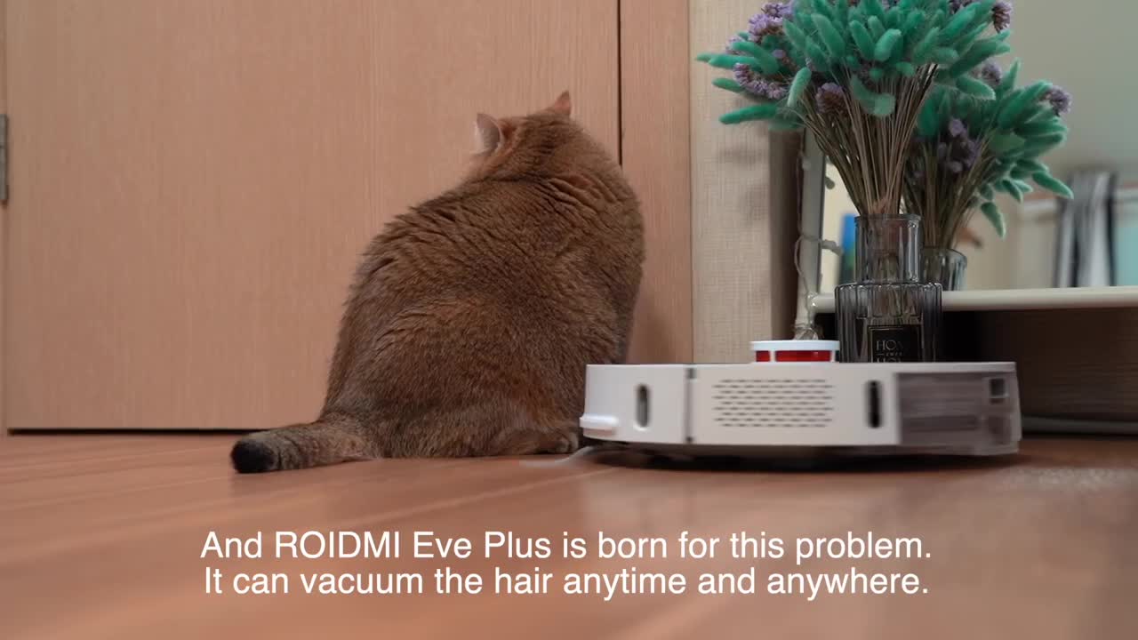 Hosico and ROIDMI Eve Plus