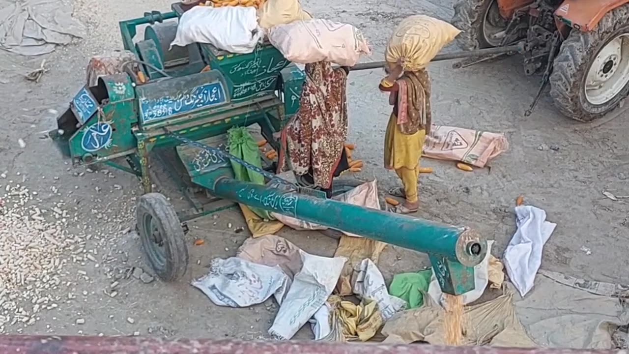 Corn Sheller Machine