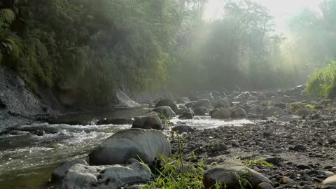 river #nature #river #shorts #short