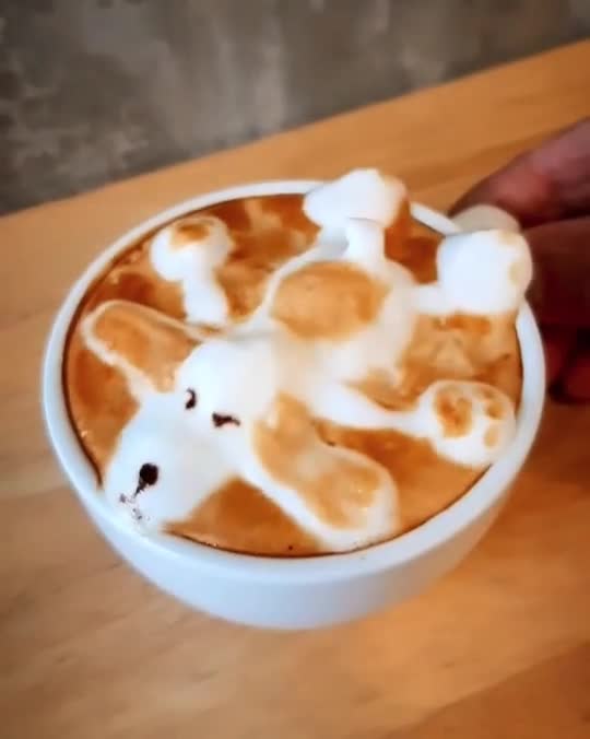 cappuccino dog shape