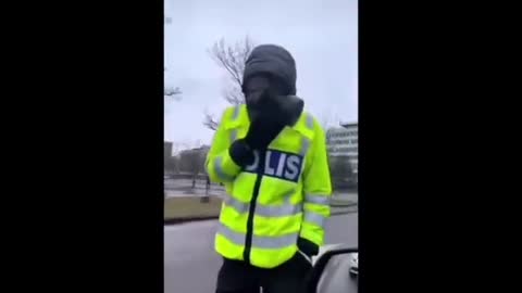 Muslims rioting in Sweden