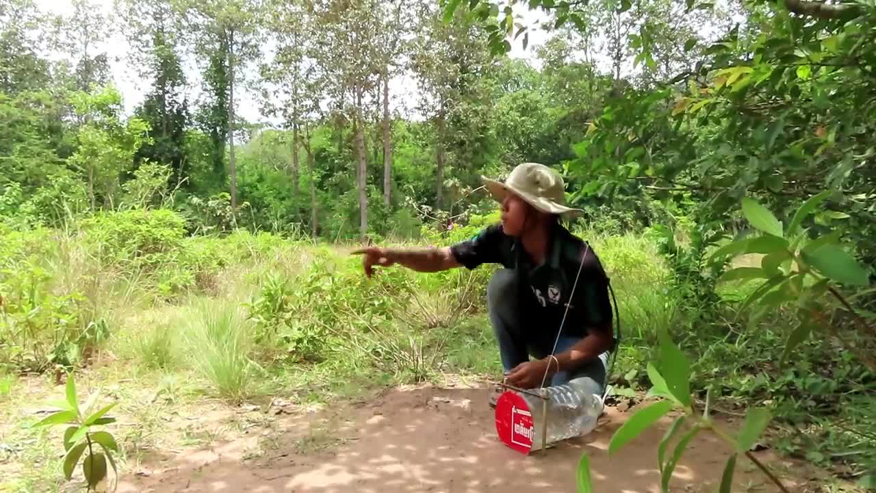 Creative Unique Quick Parrot Trap Using 5 Liters Bottle, Paper And Woods - Bird Trap Working 100%_p1