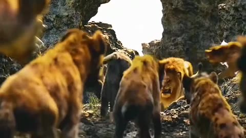 The lion movie