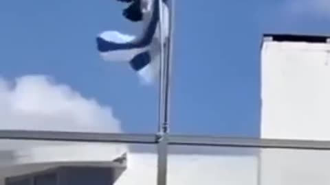 EVEN THE CROW SUPPORT PALESTINE