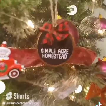 CHRISTmas @ simpleacrehomestead