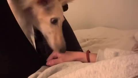 Lemme just sneak right in there 😜#SneakAttackOfLove