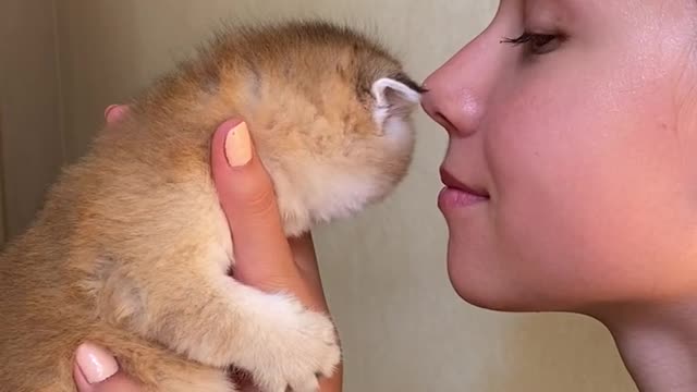 Kid Kissing and Holding the Kitten