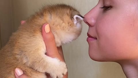 Kid Kissing and Holding the Kitten