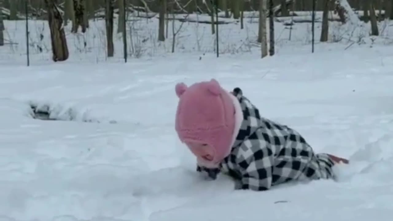 Cute & Funny Baby 😍😍😅😅 #shorts #reels #viral #baby #cutebaby #funnybaby #kids #babies #feelingsbaby