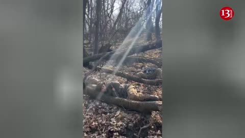 Tired "Azov" soldiers who came out of the battle rest in the forest