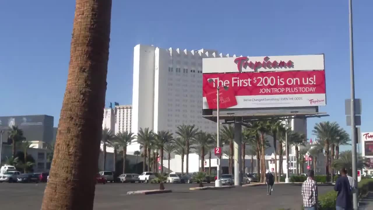 Walking down Tropicana past MGM Grand Las Vegas NV. 2015