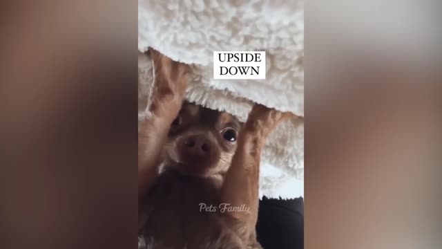 I'm in the mood to stay like this upside down....