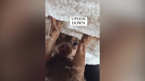 I'm in the mood to stay like this upside down....