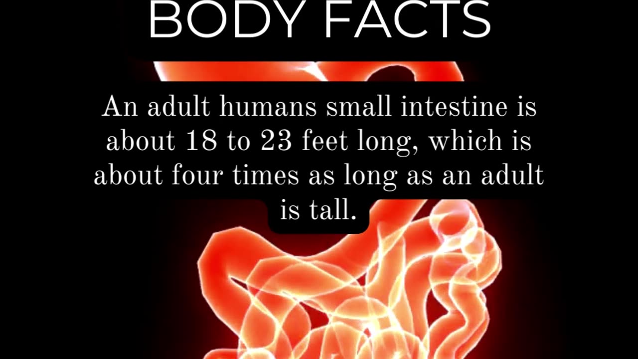 Astonishing Human Body Discoveries: Revealing Facts