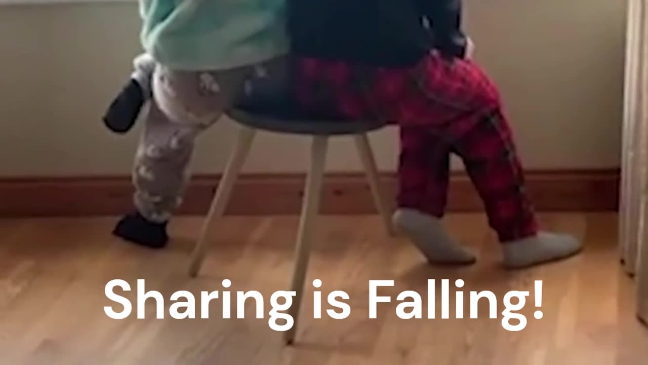 Crazy and Funny Videos!