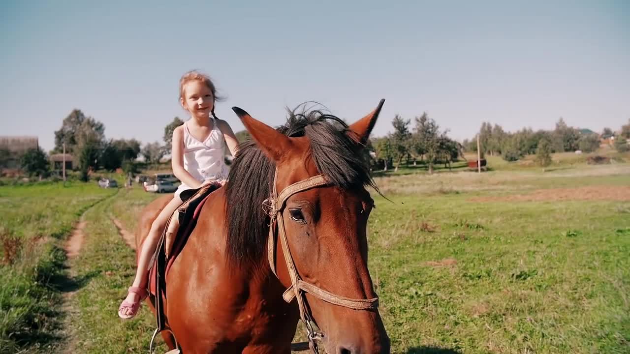 A happy little girl riding a horse on a country road on a sunny day