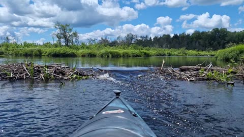 Kunjamuk river ny