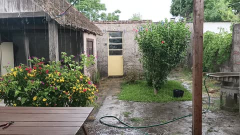 Lluvia en Tacuarembó (rain, chuva)