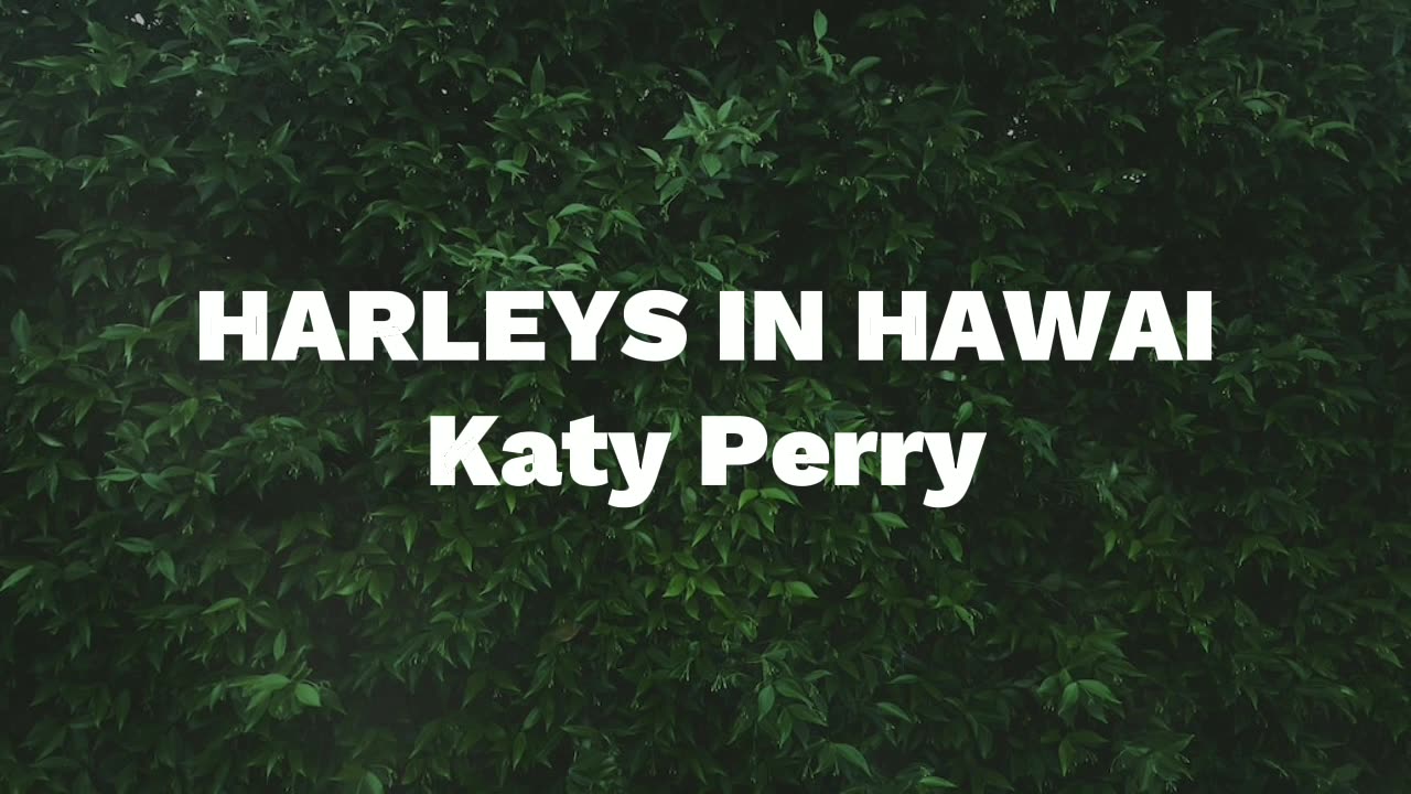 Harleys in hawai You and I